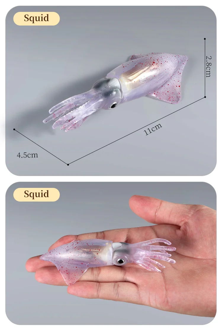Pädagogische Marine Molluscs ModelToys – Simulation Tintenfisch Oktopus Wachstumszyklus Actionfigur für Kinder Sealife Animal Collection – Detail 14