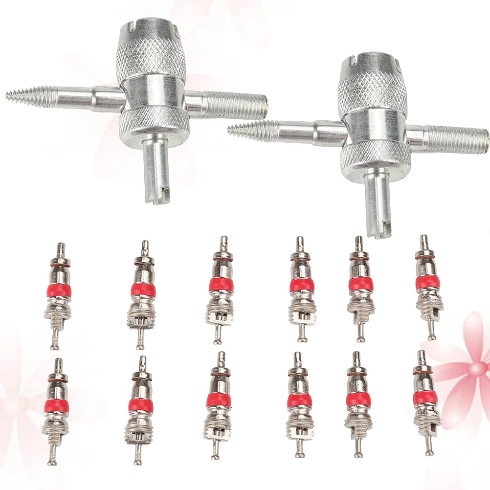 

1Set 12Pcs Tire and 2Pcs Detaching Tools Automobile Tire Accessories Tire Replacement (Silver) Tire Valve