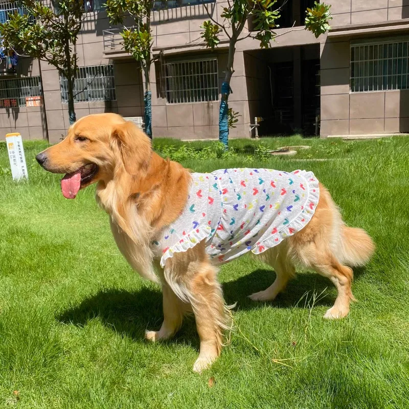 Spring and Summer Anti-hair Loss Golden Retriever Clothes Large Dog Thin Princess Flying Sleeves Pet Skirt