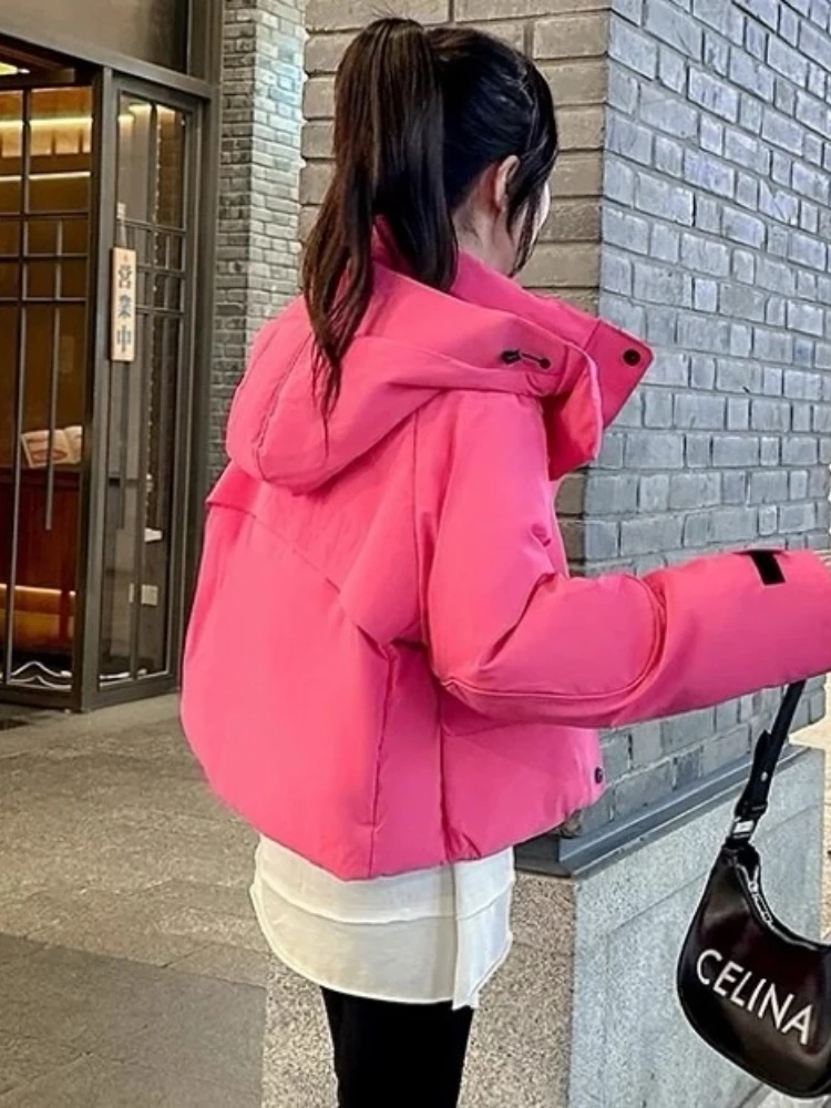 Winter Down Jackets Hooded Parkas Women's Winter New Candy Color Loose Warm Windbreak Clothes Female Thicken Cold Puffer Coat