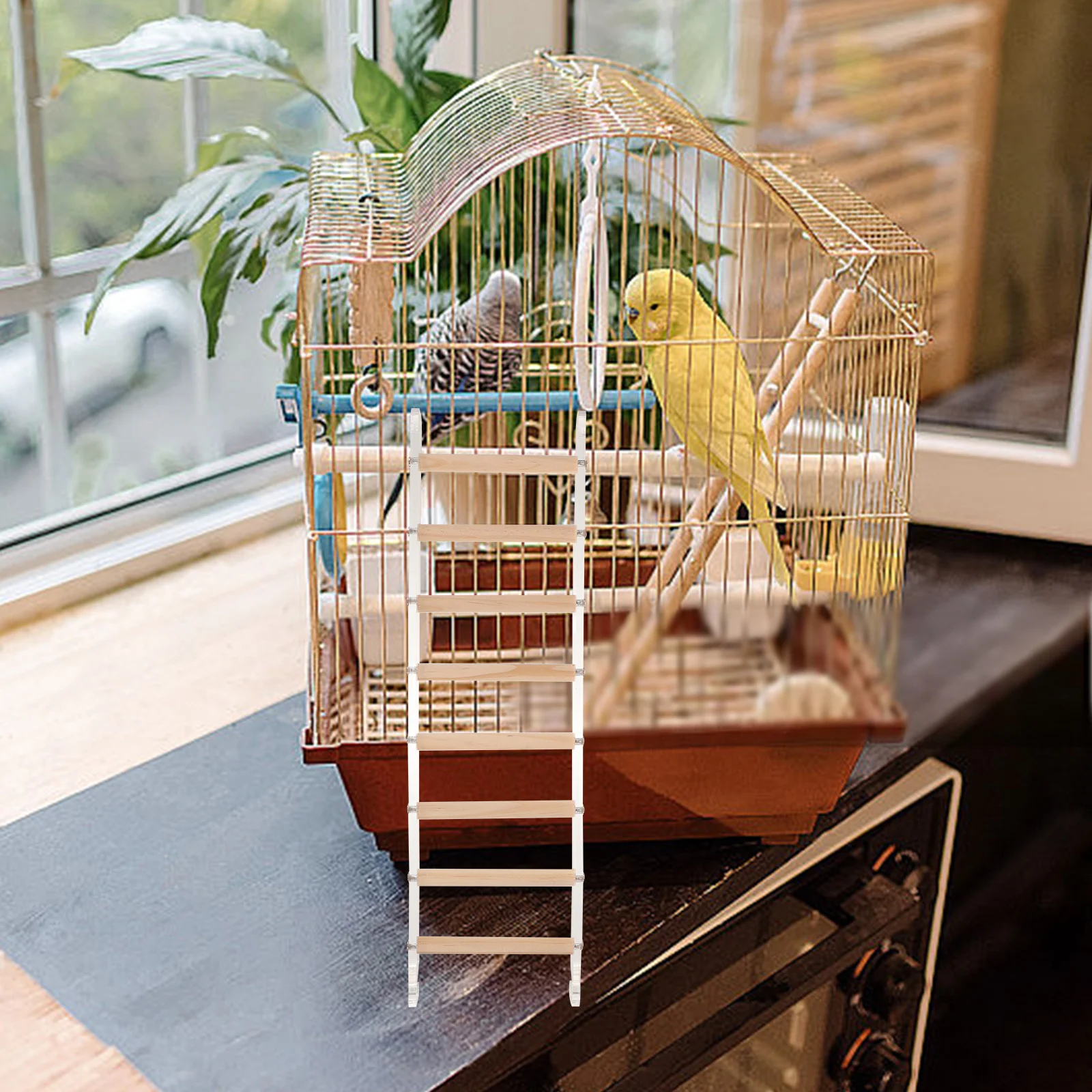 

Acrylic Parrot Ladder Bird Climbing Training Perch For Budgies Parakeets Cockatiels Cage Accessories Claw Grinding