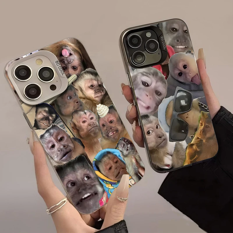 الإبداعية القرد تصفيح جراب هاتف آيفون 17 16 15 14 13 12 11 برو ماكس زائد 17 الهواء 16E X XR XS ماكس غطاء ممتص للصدمات #1