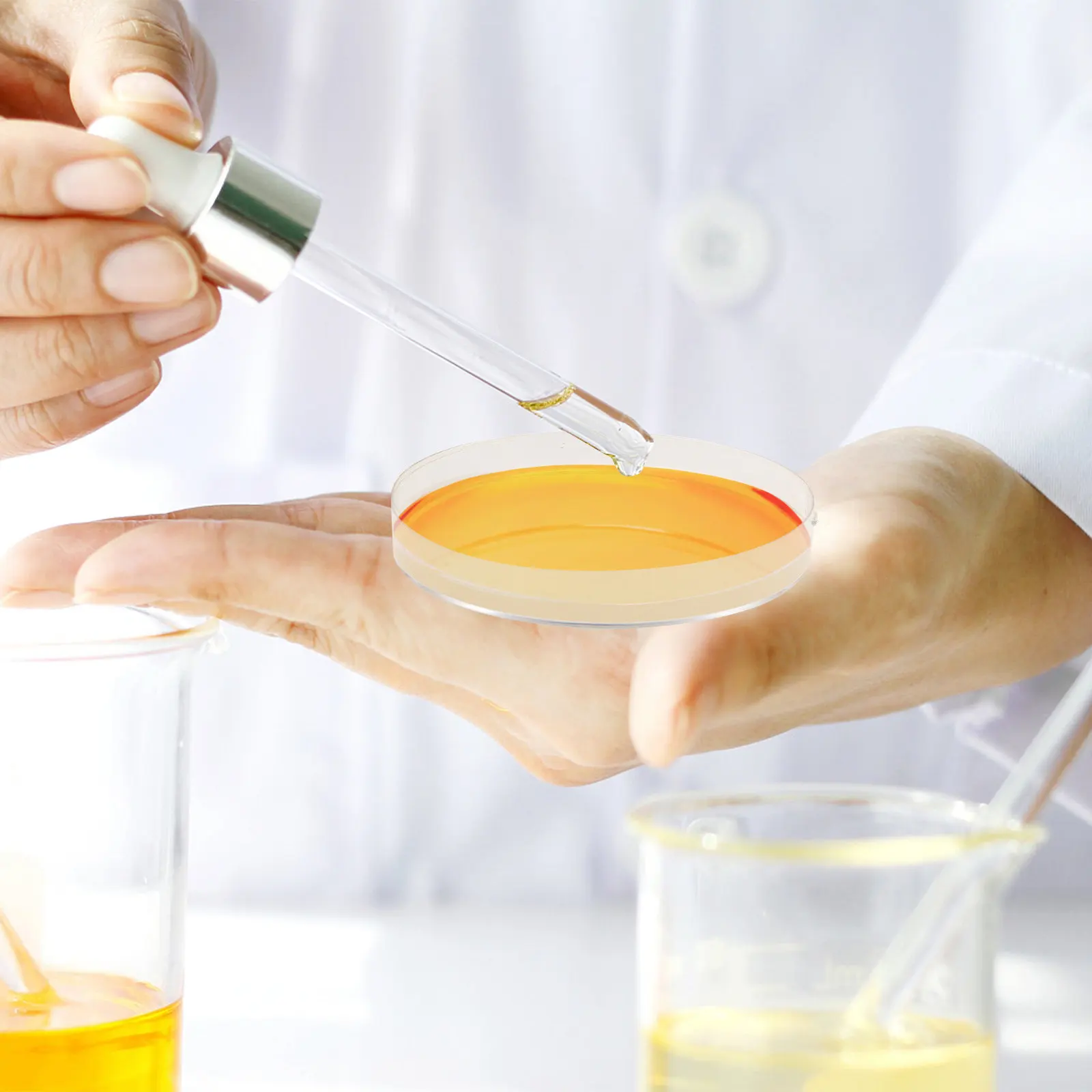 

10Pcs Agar Petri Plates Fresh Pre-Poured Culture Dishes for Biology Lab Research Science Fair Projects Educational Experiment