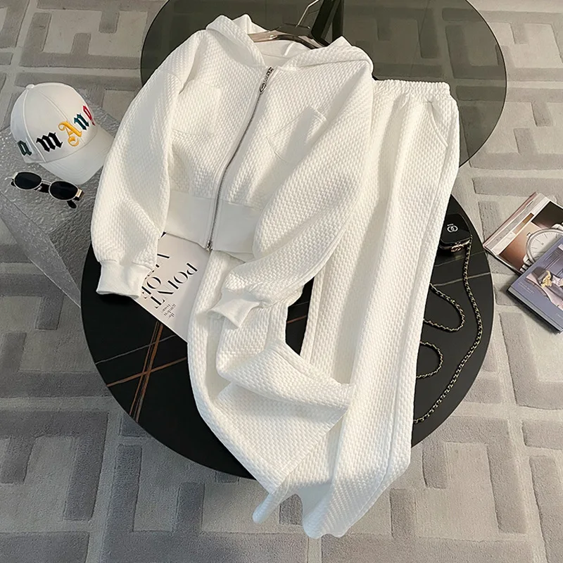 

Women Two Pieces Pants Set Solid Matching Set Hooded Zipper Pocket Top Elastic Waist Full Lenth Wide Leg Pant Casual 2025 Autumn