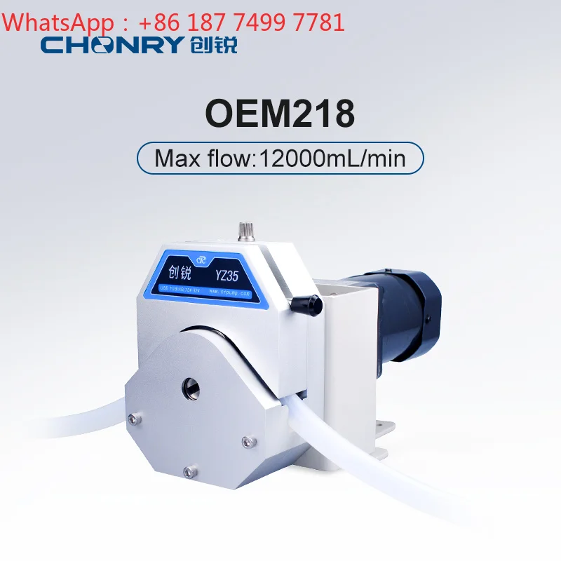 110V/220V Two-way High Torque Intelligent Reversible Industrial Peristaltic Pump