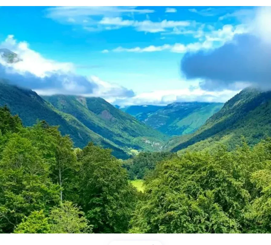 

BETAFPV LAVA Series 1506 34 мм/80 мм бесщеточный двигатель 4200 кВ гоночный двигатель пересечения аксессуары для БПЛА