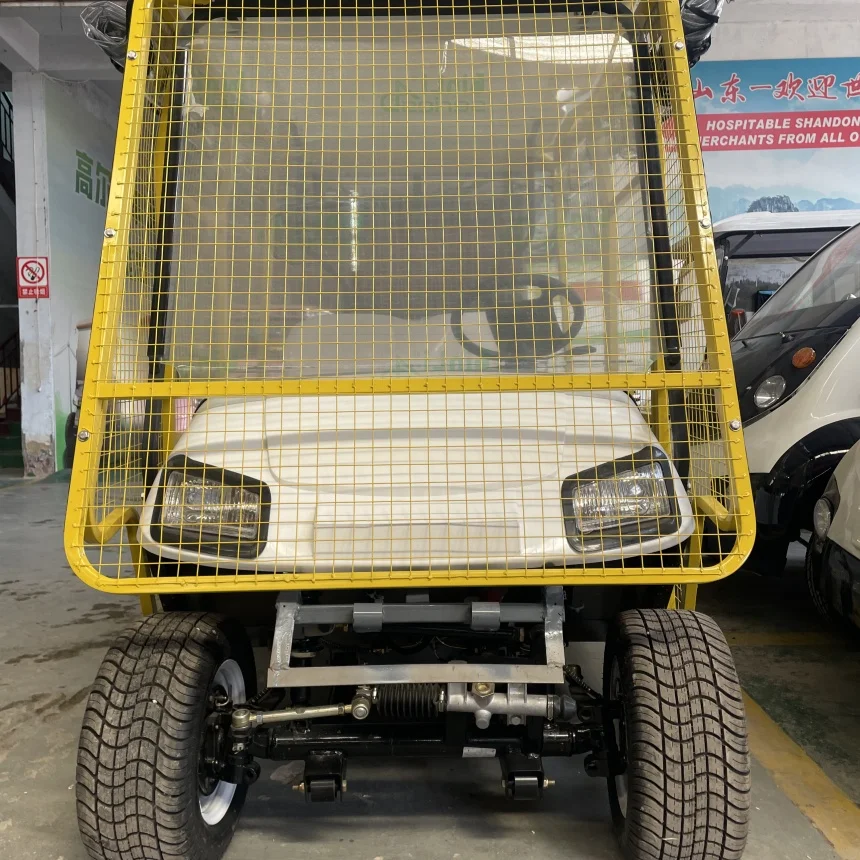 

2 Seater New Energy Electric Golf Cart Lithium Battery Luxury Golf Carts Electric With Ball Pickup Fence Rain Cover