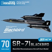 Freewing Double 70mm American SR-71 Blackbird \