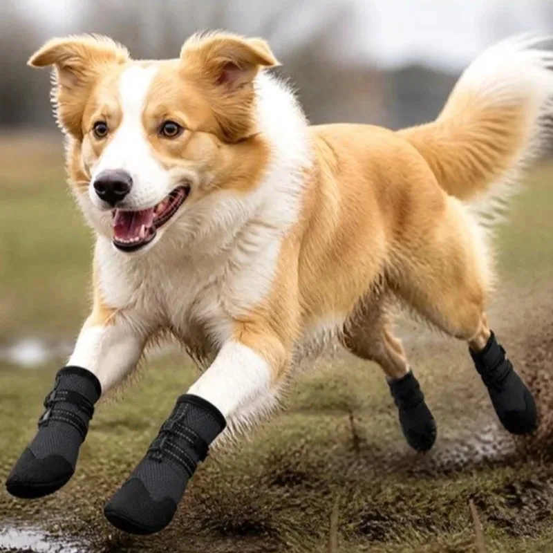Pet Dog Shoes,breathable Outdoor Sports Walking Pet Shoes,night Safety Reflective Boots,Suitable for All Dogs.