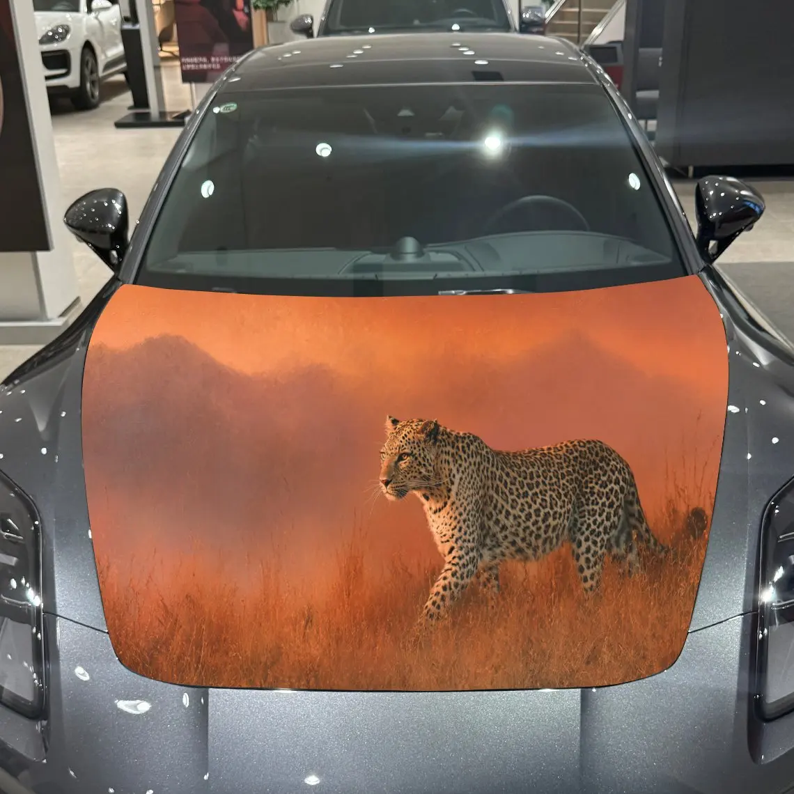 

Car Decals A Leopard Stalking In Savannah At Sunset Scene Creation Car Hood Sticker, Waterproof Self - Adhesive Vinyl Graphics D