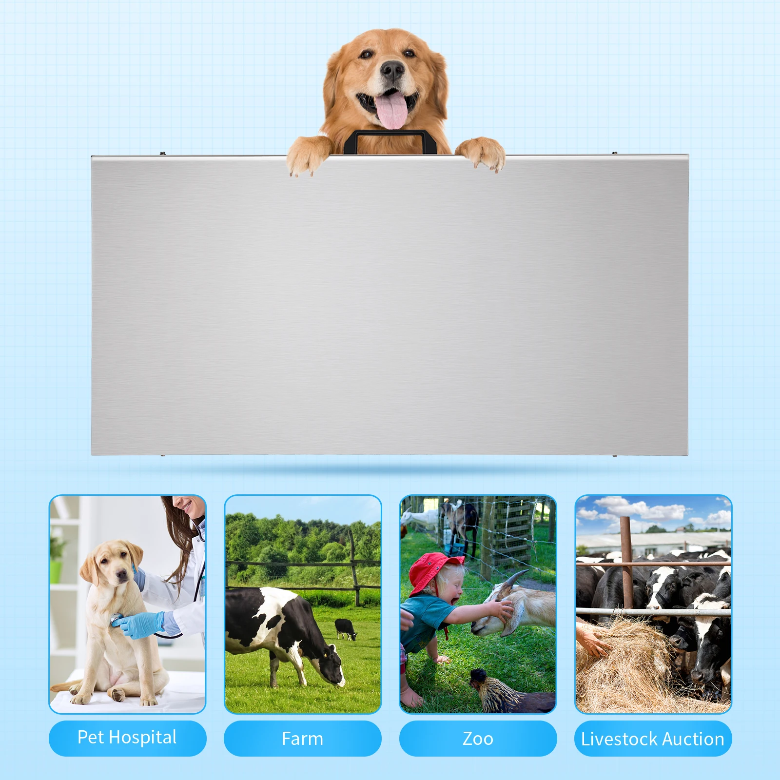 

Digital Livestock Platform Scale 200kg Capacity 0.02kg High Accuracy Stainless Steel for Pets Veterinary Clinic and Home Use