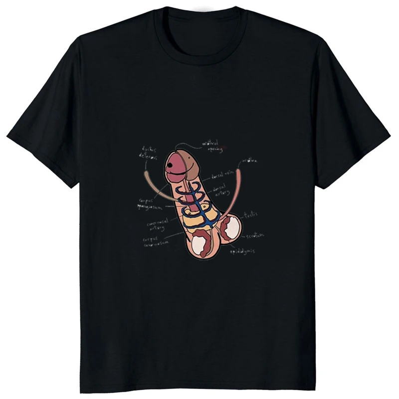 New Arrival The Anatomy of A Penis Funny Printed Man Tshirt Humors Joke Novel Educational Shirt  Hip Hop Streetwear Casual Tees