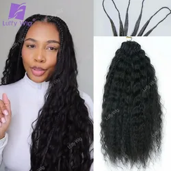 Wet and Wavy Human Hair Crochet Braids Extensions Pre Separated Burmese Remy Hair Bundles With Loop Knotless For Braiding