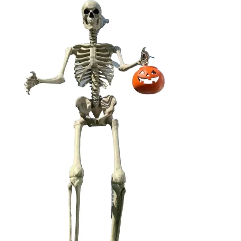 

Outdoor Yard Skeleton Decoration Outdoor Courtyard Giant Skeleton 3.6m