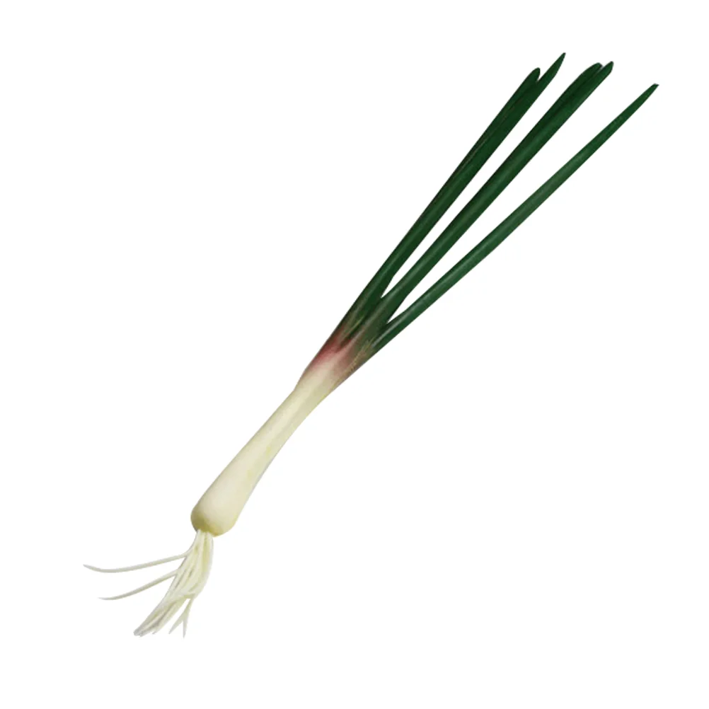 Simulated Onion Model Models Fake Green Onions Decorations Simulation Vegetable