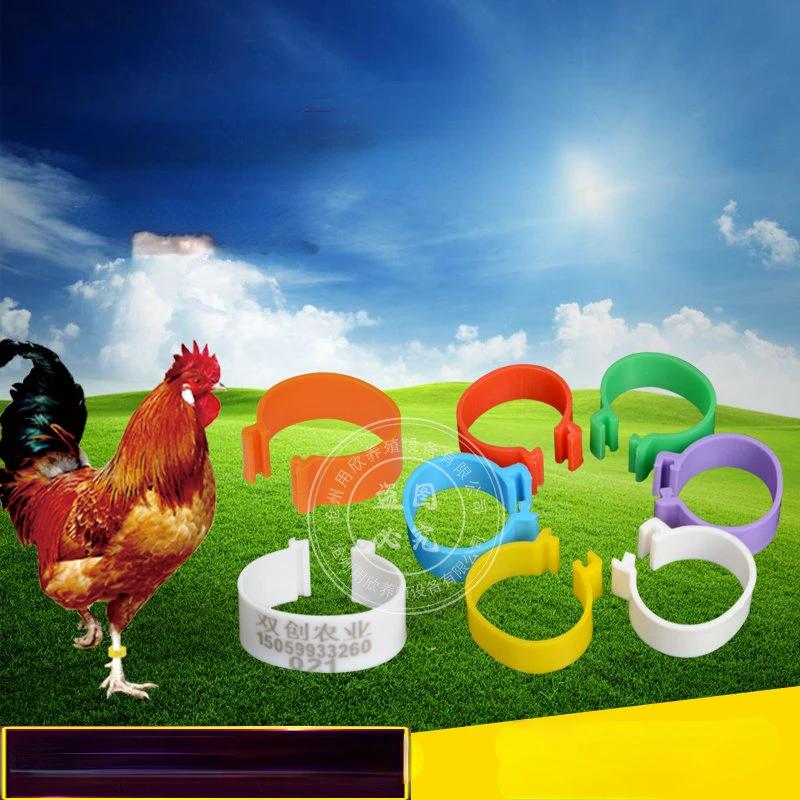 1000PCS  Chicken foot ring recognition rare bird open mouth winding anti drop goose duck new type foot ring plastic number