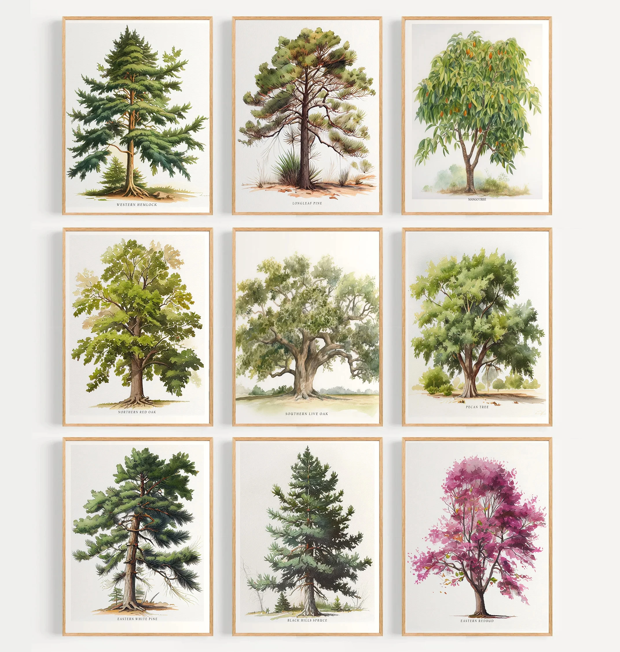 Classic Simple Green Plants Jungle Tree Name Popular Science Posters Canvas Painting Printing Pictures--2026 NEW-
