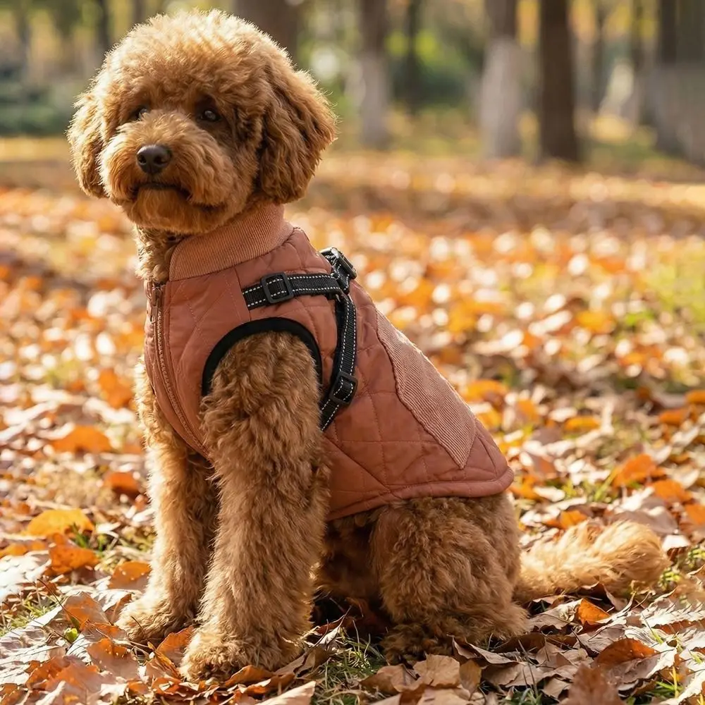 

Pet Outfits Adjustable Back Winter Dog Jacket Reflective Warm Fleece Pet Coat Waterproof Thickened Pet Down Coat Cold Weather