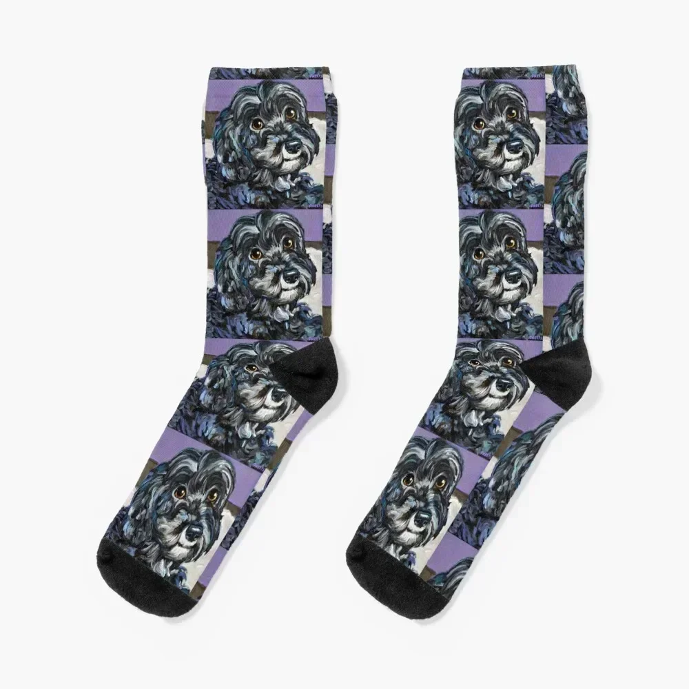 Cute and Cozy Schnoodle by Robert Phelps Socks Thermal man winter sheer Socks For Girls Men's