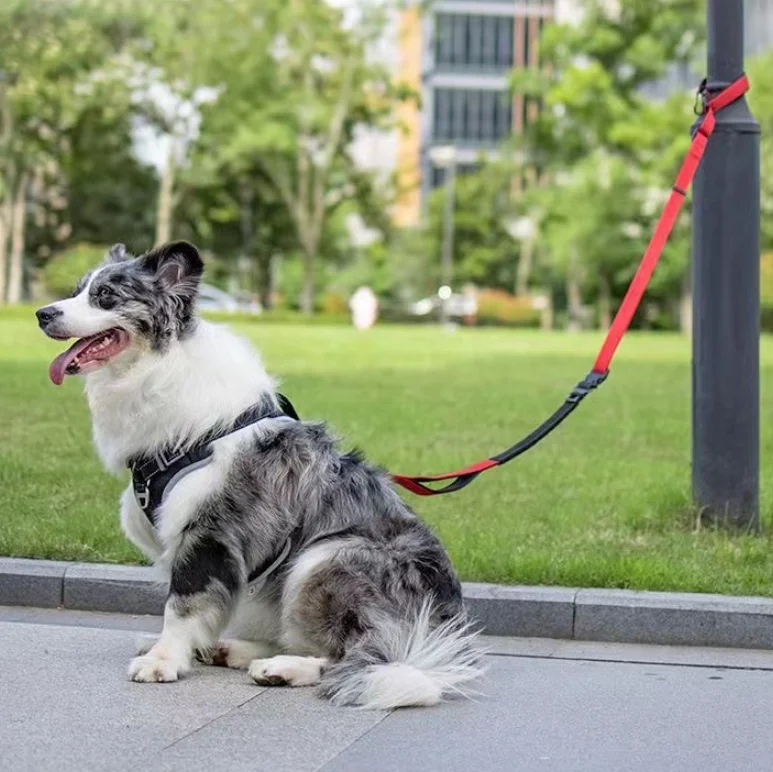 

Reflective Heavy Duty Elastic Bungee Dog Leash Shock Absorbing With Comfortable Padded Handle Training Dog Leads