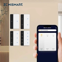 Zigbee Smart DIY Name Switch Work with Tuya App US Type Display Screen Touch Wall Light Switch Alexa Google Home Voice Control