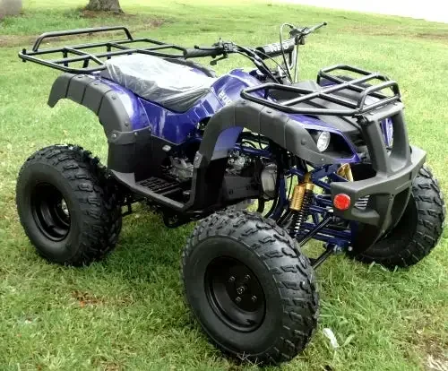 ATV 125cc  Adult use of all-terrain off-road vehicles 10 inch air-cooled engine 2WD