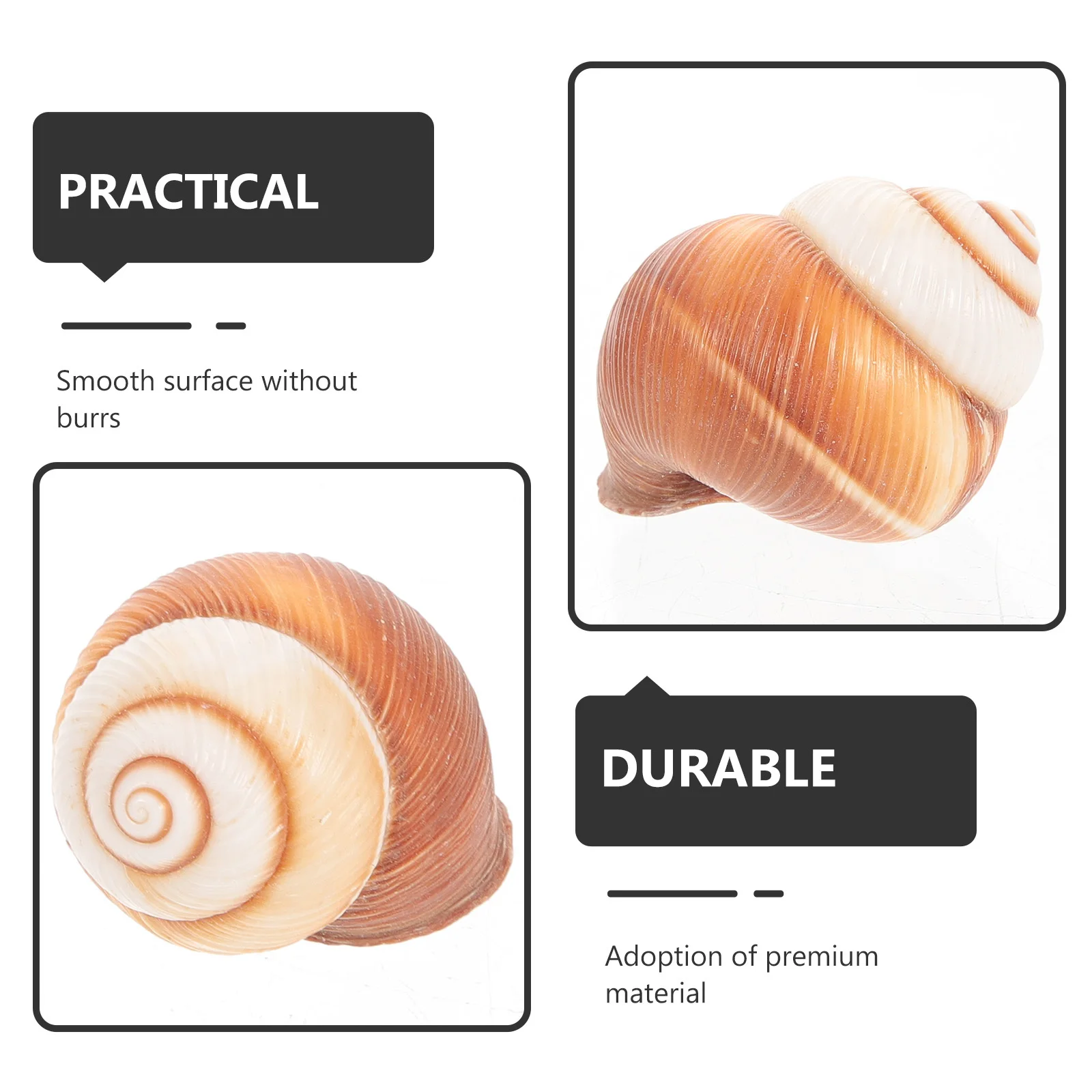 

5Pcs Baked Escargot Shells Smooth Surface No Burrs Natural Snail Shells French Cooking Accessories Escargot Cooking Accessories