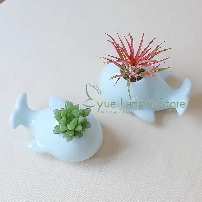 Small Whale Pots Decorative Tabletop Ceramic Blue Flower Pots Cute Mini Hydroponic Plant Pot Balcony