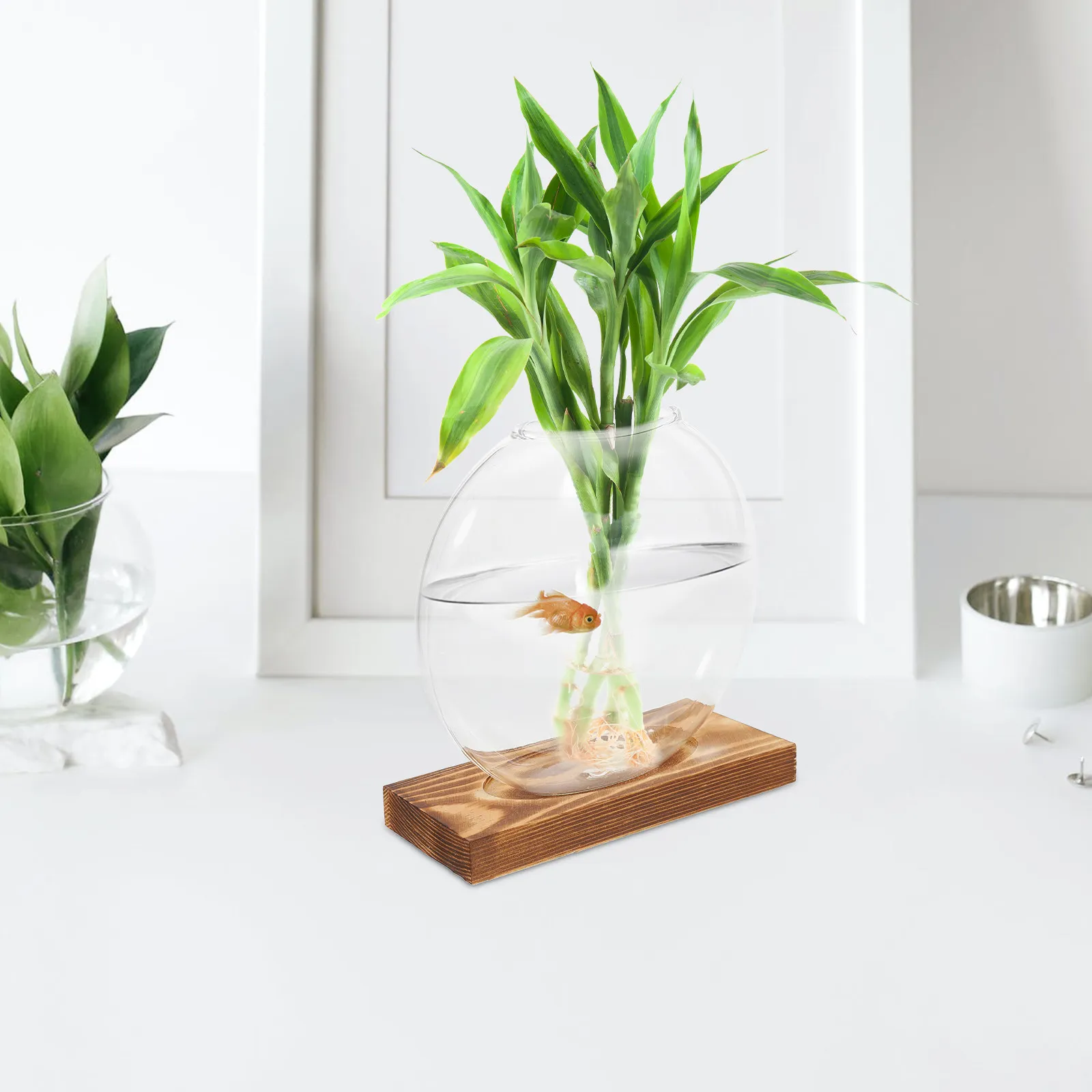 Hydroponic Glass Vase Transparent Propagation Station Indoor Plant Wooden Base Desk Window Decor Glass Plant Bases