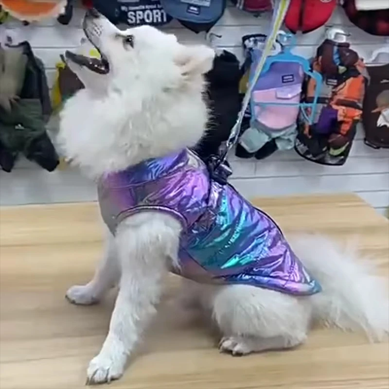 �y�Z�[�����z�h���A���ː��O���f�[�V�����J���[�̃x�X�g�A�t���[�X���n�t���Œg�����y�b�g���A�g�������p�R�[�g�A�L�p���A�y�b�g�p�i