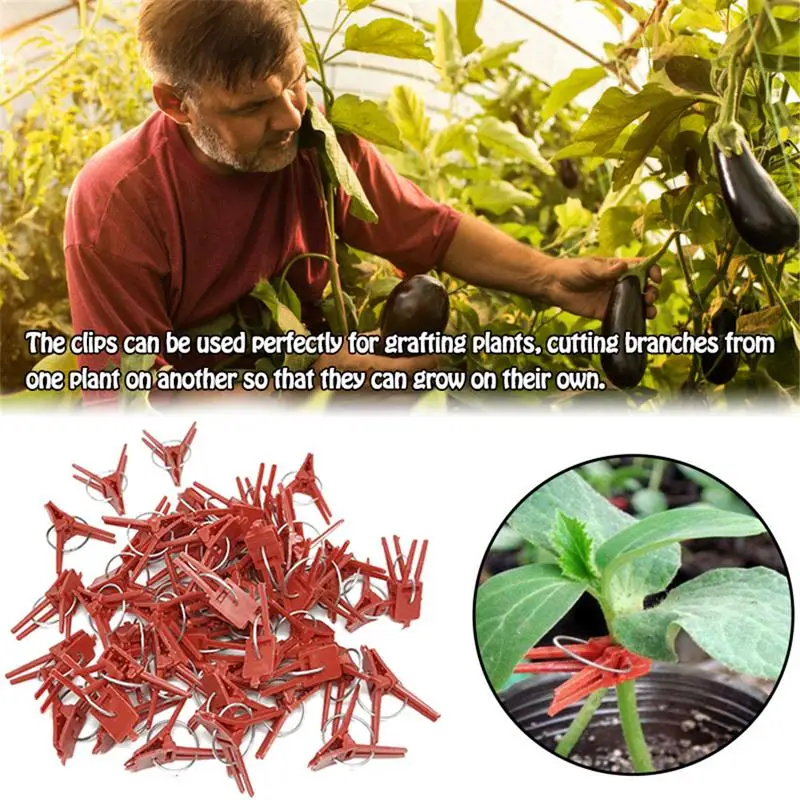 50PCS Plant Grafting Clip Plastic Gardening Tool For Cucumber Eggplant Watermelon, Round Mouth Flat Mouth Anti-fall Clamp