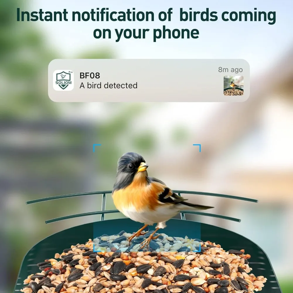 Metal Solar Bird Feeder Camera with AI Identify Bird Species, Wild Bird Watching Cam, Live View, Instant Notifications