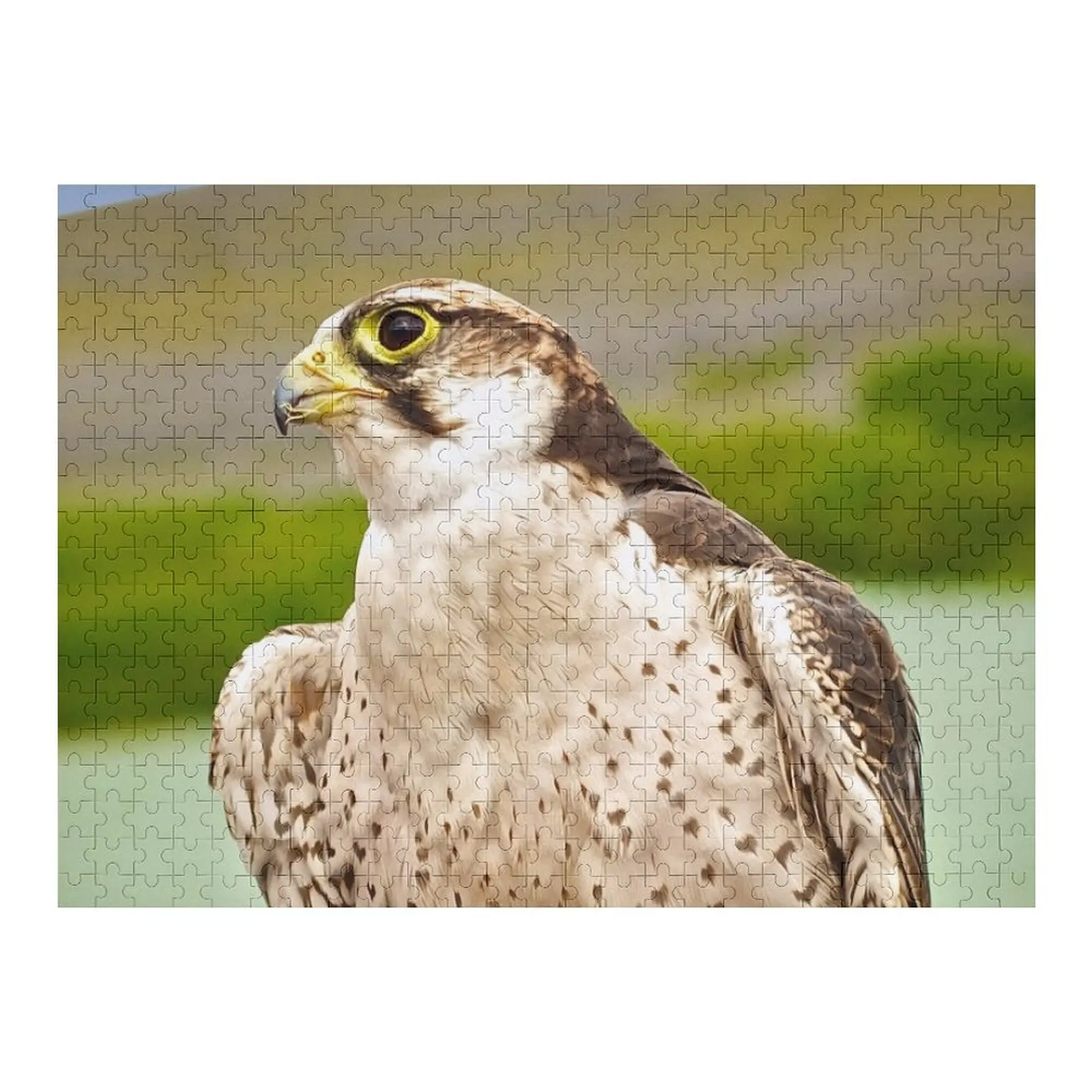 

Bird of Prey Jigsaw Puzzle Personalized Gift Personalised Toys Animal Anime Puzzle