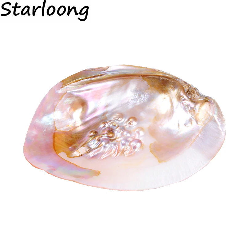 1pc 13*18cm AA quality natural fresh water pearl oyster clam shell burnish Smoothly for jewelry crafts