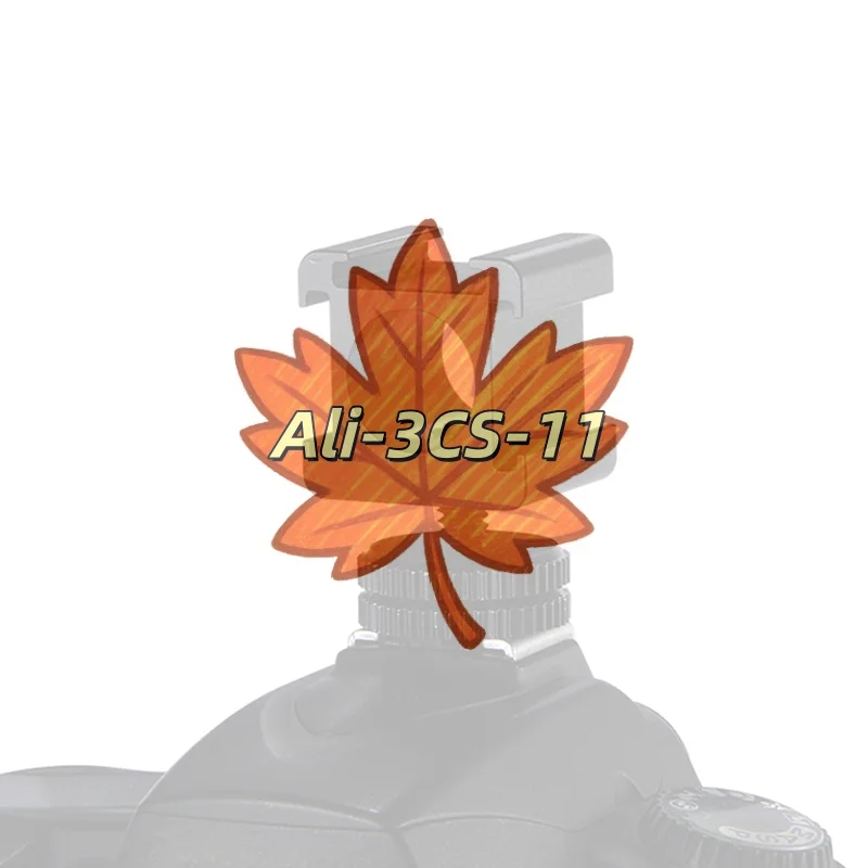 1/4" Hot Shoe Phone Mount with Dual Cold Shoe Adapters - Double-Layer Camera Bracket for Multi-Accessory Setup​