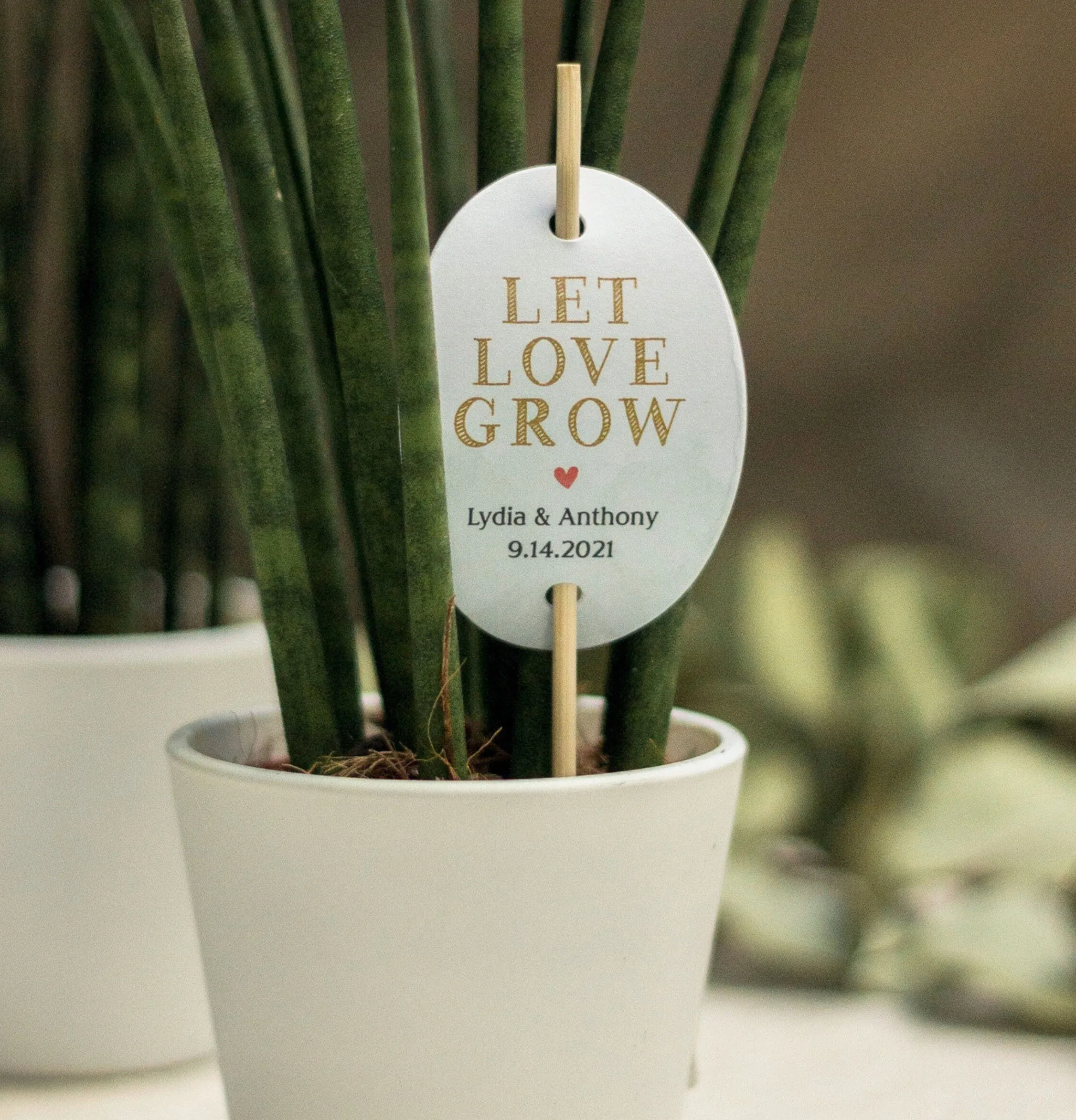 LET LOVE GROW! Personalized Sign for Plant Favors, 100 Pcs, Wedding Tags, (Bamboo Not Included!)