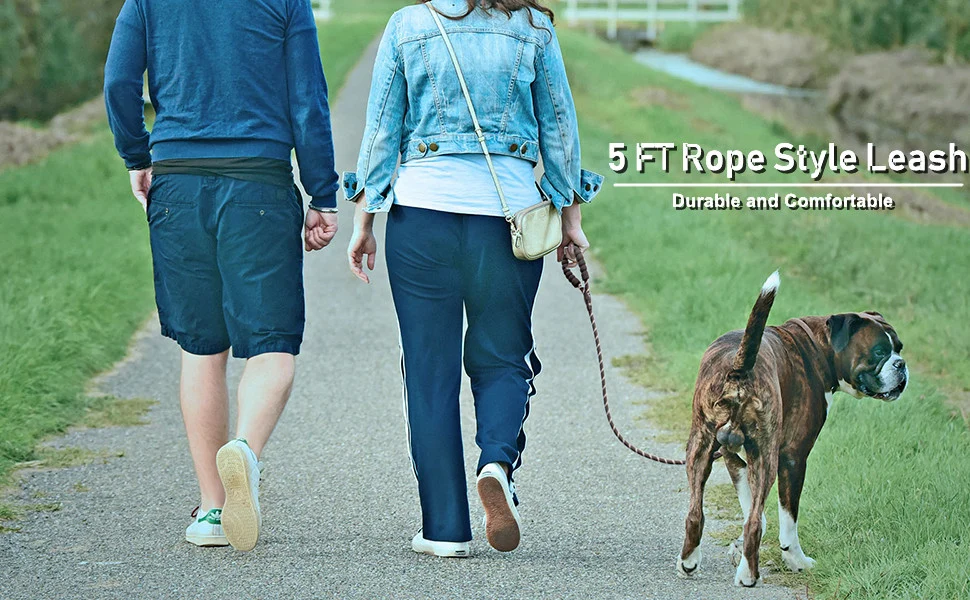 Starke Hundeleinen mit bequemem gepolstertem Griff, reflektierende Hundeleinen für kleine, mittelgroße und große Hunde – Detail 1