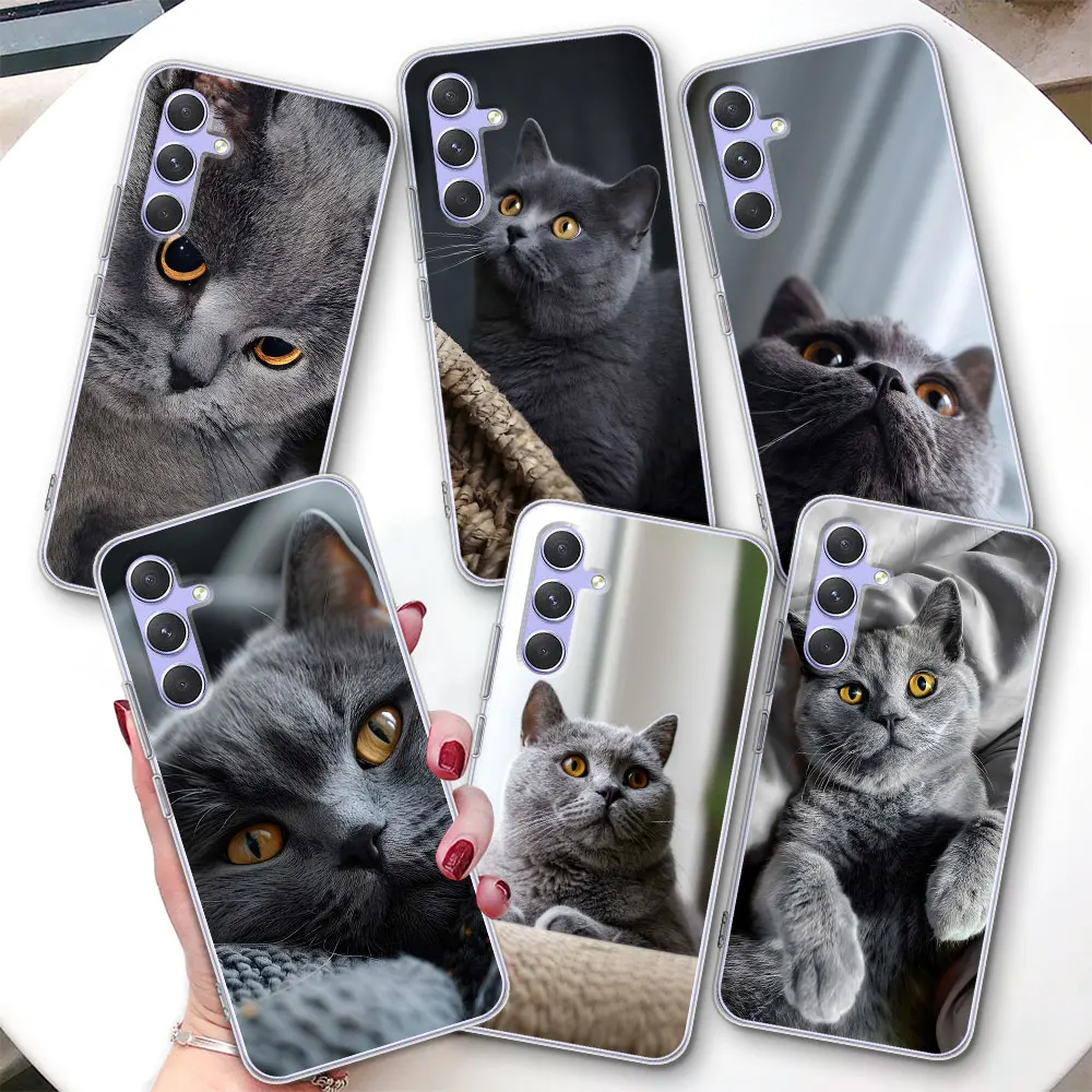 

Cute British Shorthair Cat Case for Samsung Galaxy A57 A15 A16 A17 A54 A14 A22 A51 A53 A12 A13 A23 Transparent TPU Phone Cover