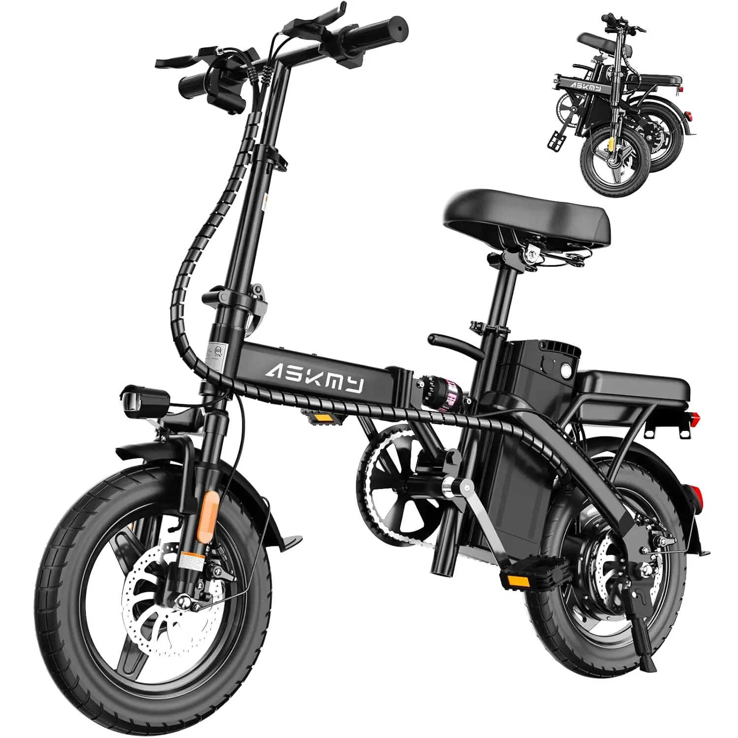 Foldable Electric Bike for Adults and Teens, 750W/1000W Peak Motor Ebike, 48V 10/20AH Removable Battery, 30-60, Customized