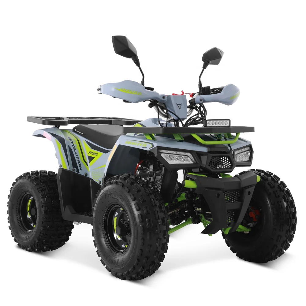 Tao Motor 2024 Off-road Farm Cheap a Gas Powered Cuatrimoto Quadricycle Automatic 4 Stroke Engine 125cc ATV for Kids