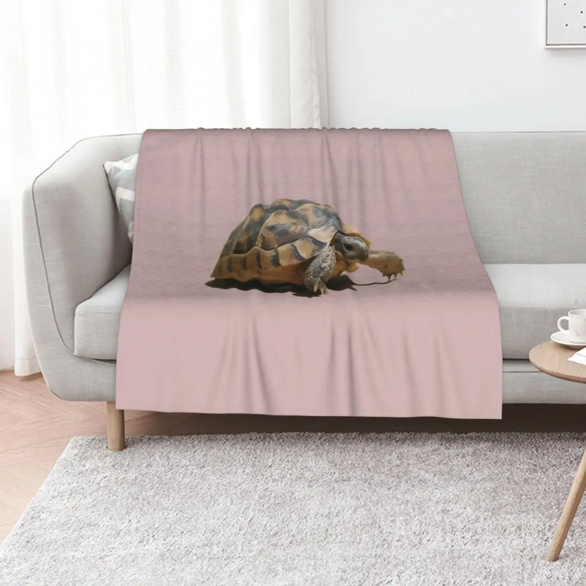 Portrait of a Young Wild Tortoise Isolated Throw Blanket Sleeping Bag Travel Loose christmas gifts Picnic Blankets