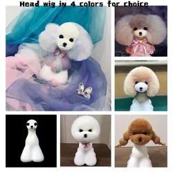10Pcs Teddy Bear Head Wig And 1pc Free Head Dog Model Mannequin Display For Pet Goomers Trimming Practice Cheaper Dummy Dog Kit