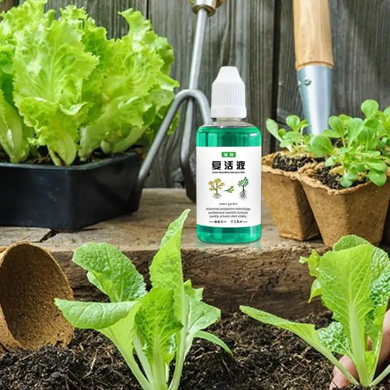 植物成長フォーム,多肉植物用ルートマッサージャー,肥料ソリューション,30ml