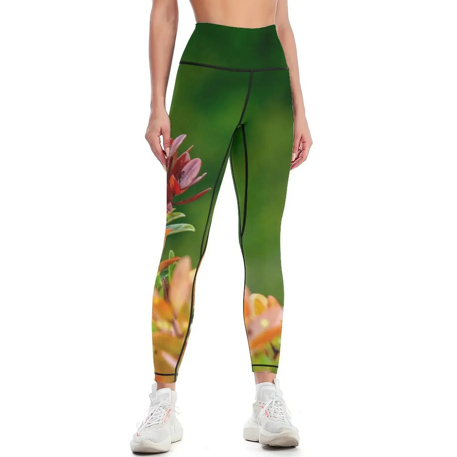 

Liko Rising Leggings Sports female Women's pants leggins push up woman gym top Womens Leggings