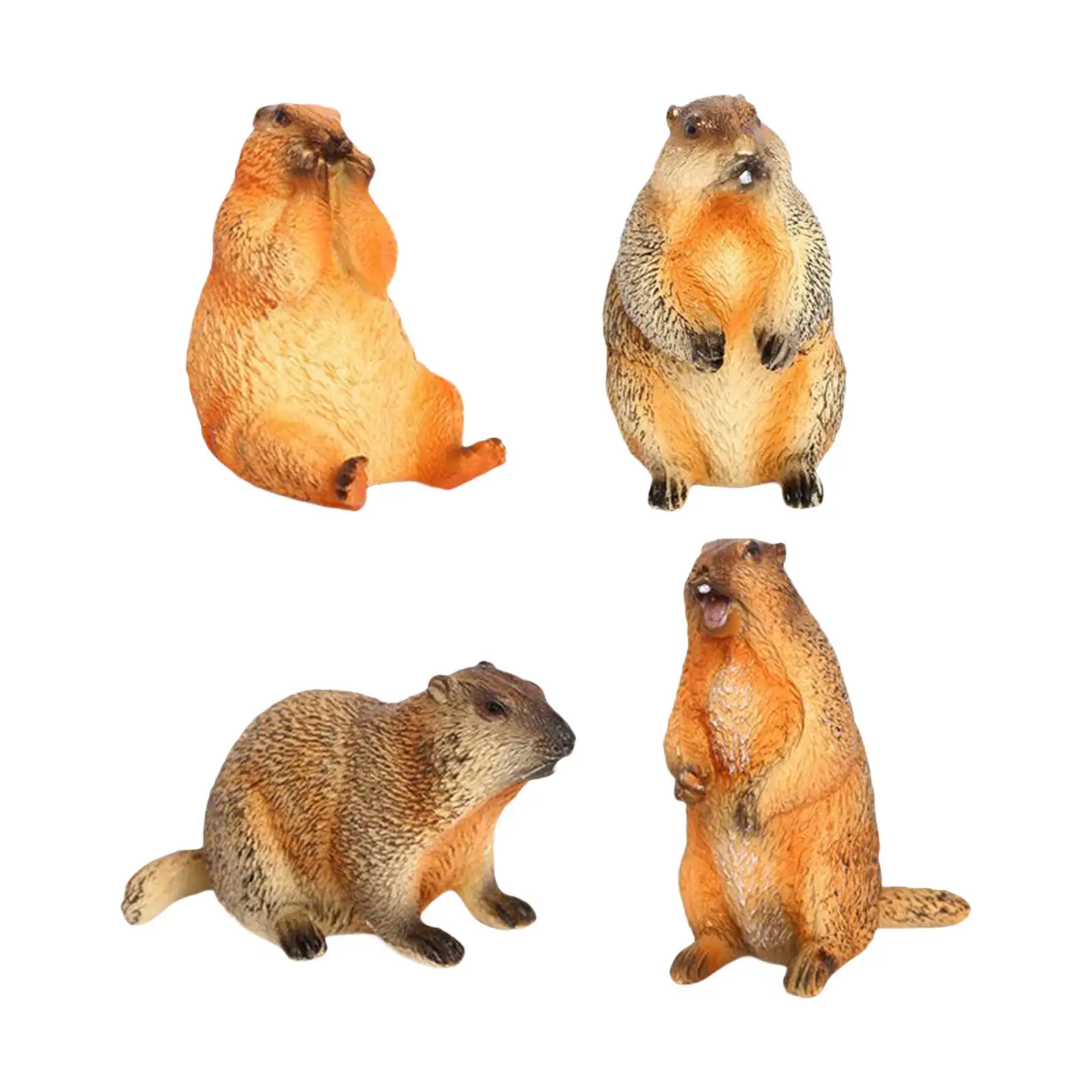 

4x Groundhogs Model Figures Mini Simulated Animal Models for Kids Boys Girls