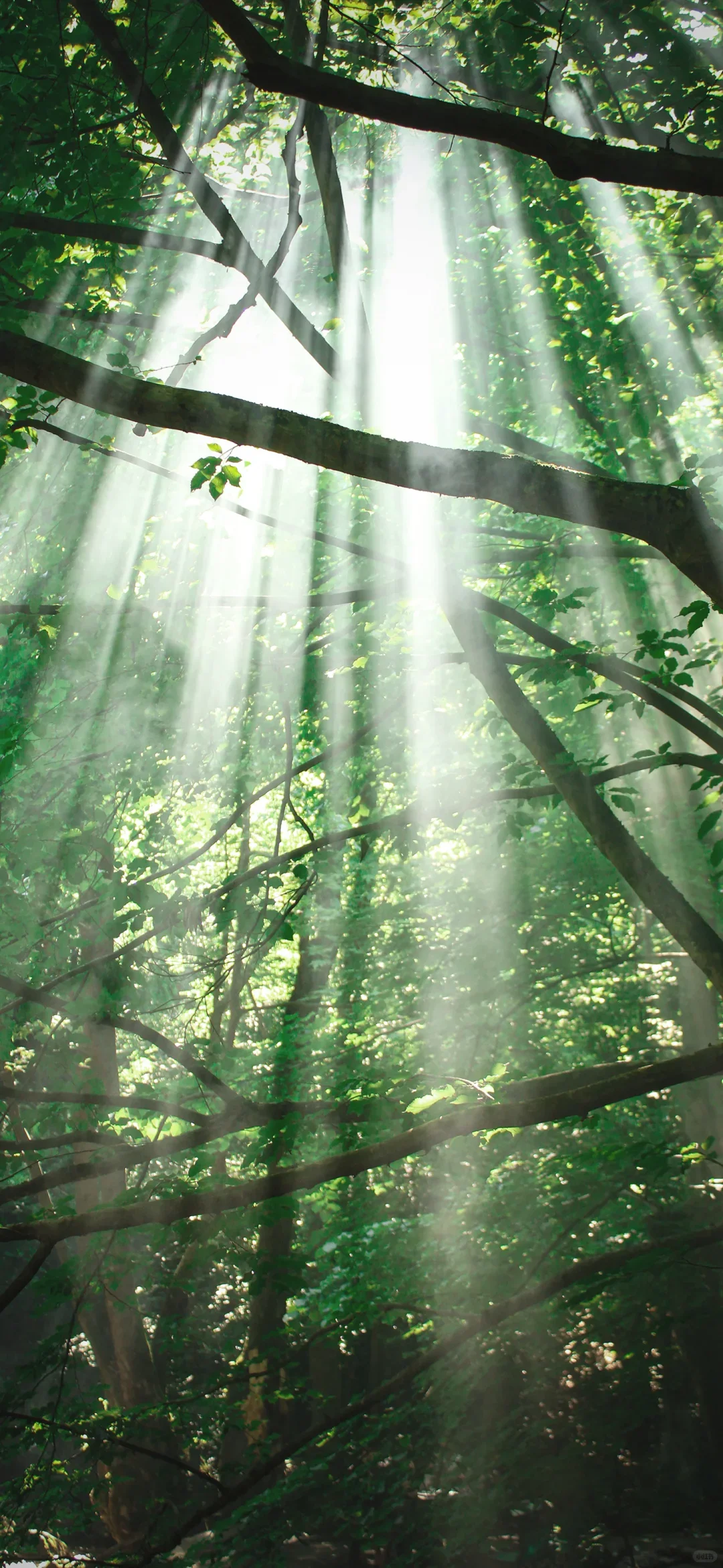 

12.3'' For Nissan Pathfinder Teana Altima 2012-2020 Digital Cluster LCD Dashboard Cockpit Virtual Instrument Speed Meterr