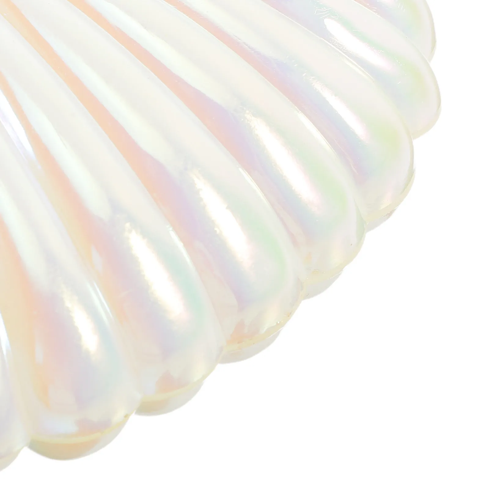 10Pcs Plastic Seashell Candy Boxes Holder Bridal Shower Box Favors Party Favors Pearlescent Shimmer Compact