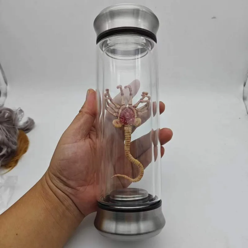 1/6 Scale Alien Xenomorph Facehugger Embryo in Jar Test Tube Bottle Prop for Desktop Display Scene Accessories