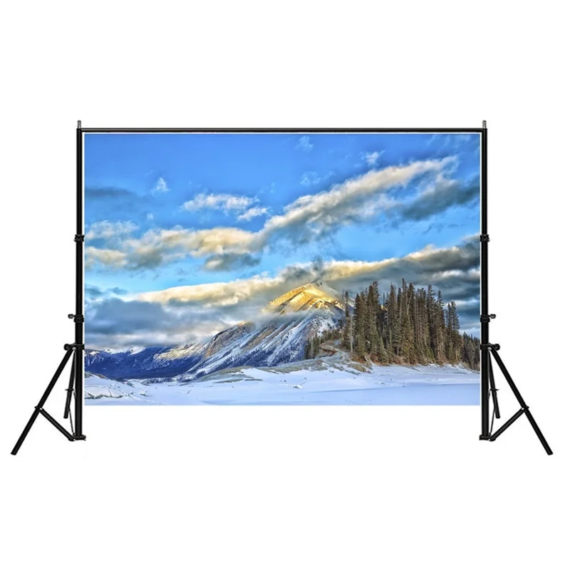 写真の背景2サイズ,冬の雪のシーン,背景,ビニール,赤ちゃんの写真スタジオのクリスマスパーティーの装飾