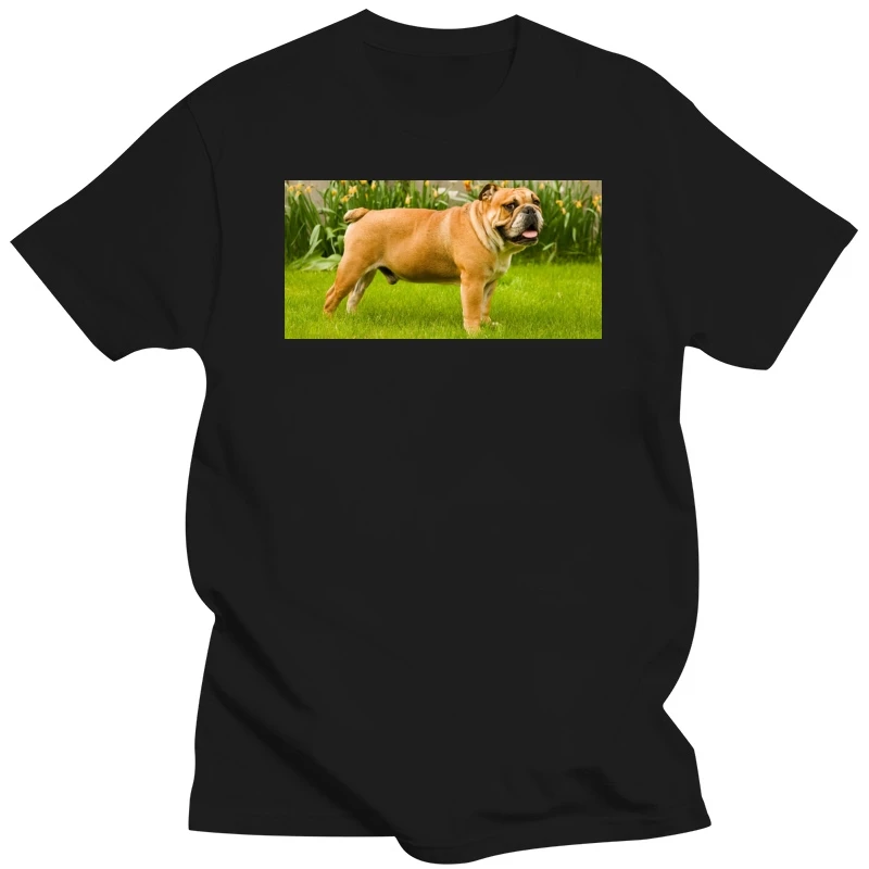 Bulldog t shirt cheap Diy t shirt Boys CasualT-shirt Tops shirt